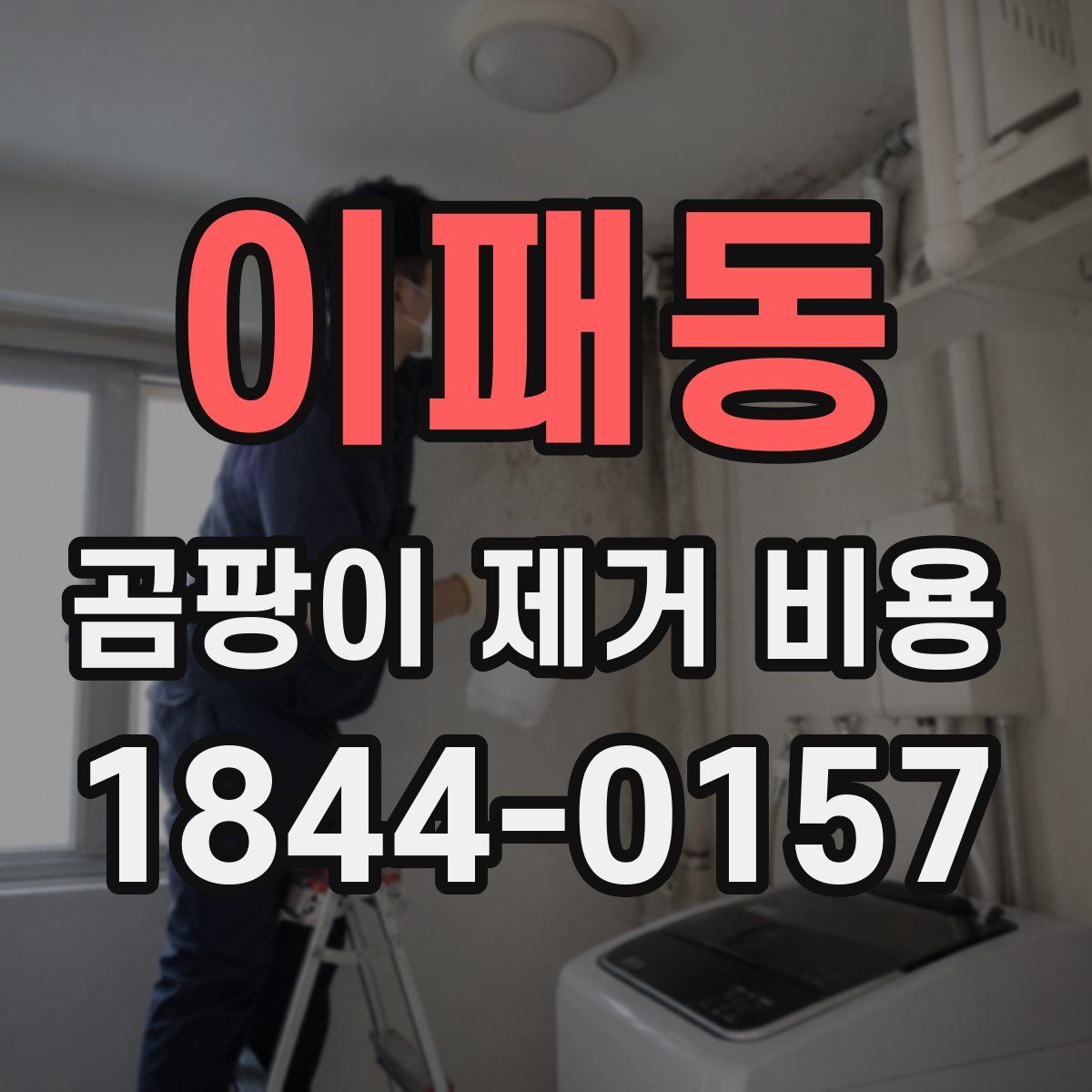 이패동 곰팡이 제거 비용