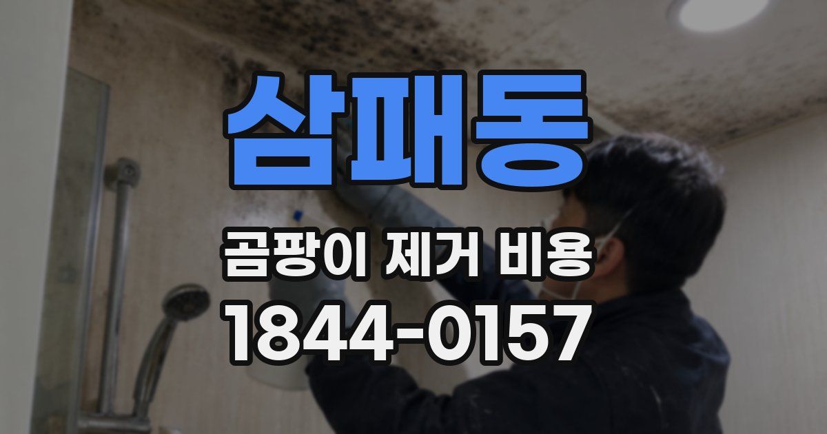 삼패동 곰팡이 제거 비용