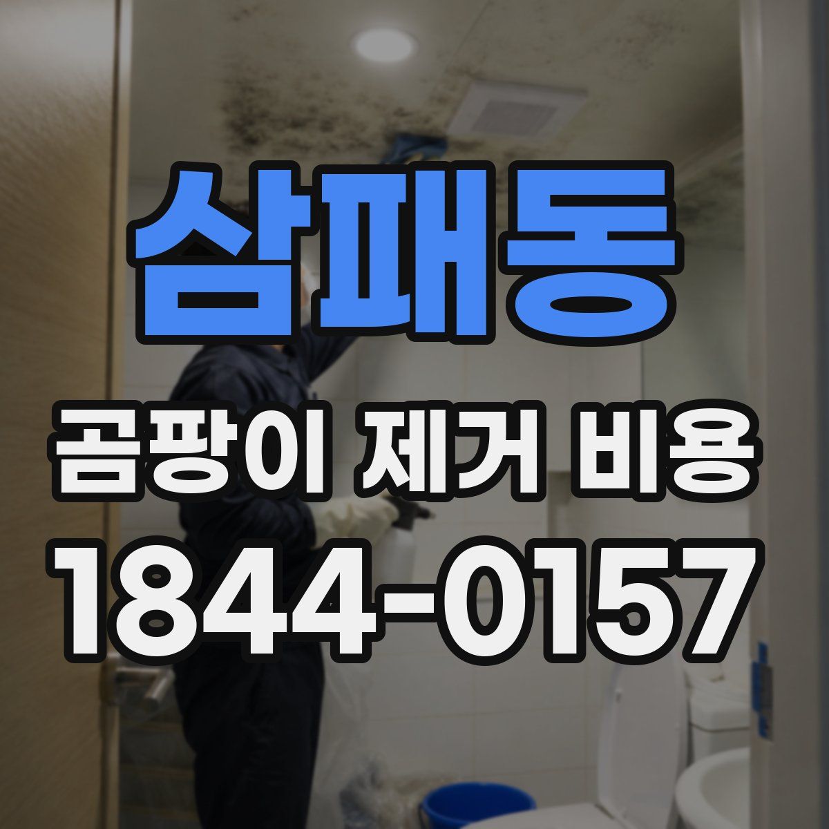 삼패동 곰팡이 제거 비용