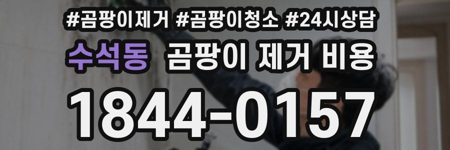 수석동 곰팡이 제거 비용