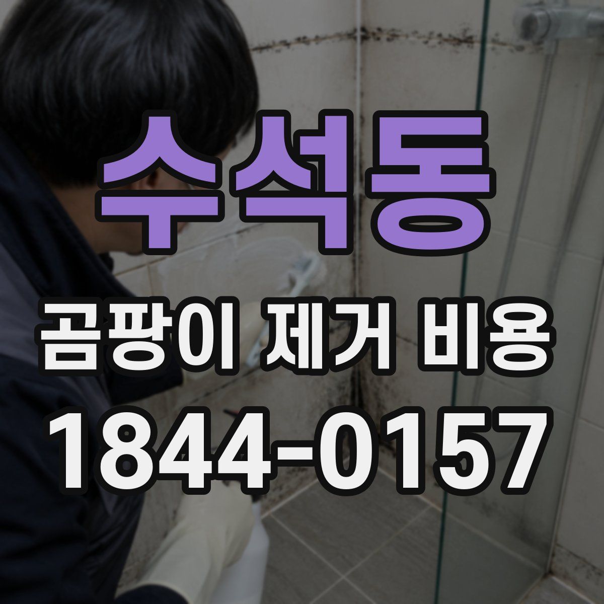 수석동 곰팡이 제거 비용