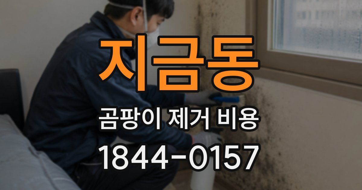 지금동 곰팡이 제거 비용
