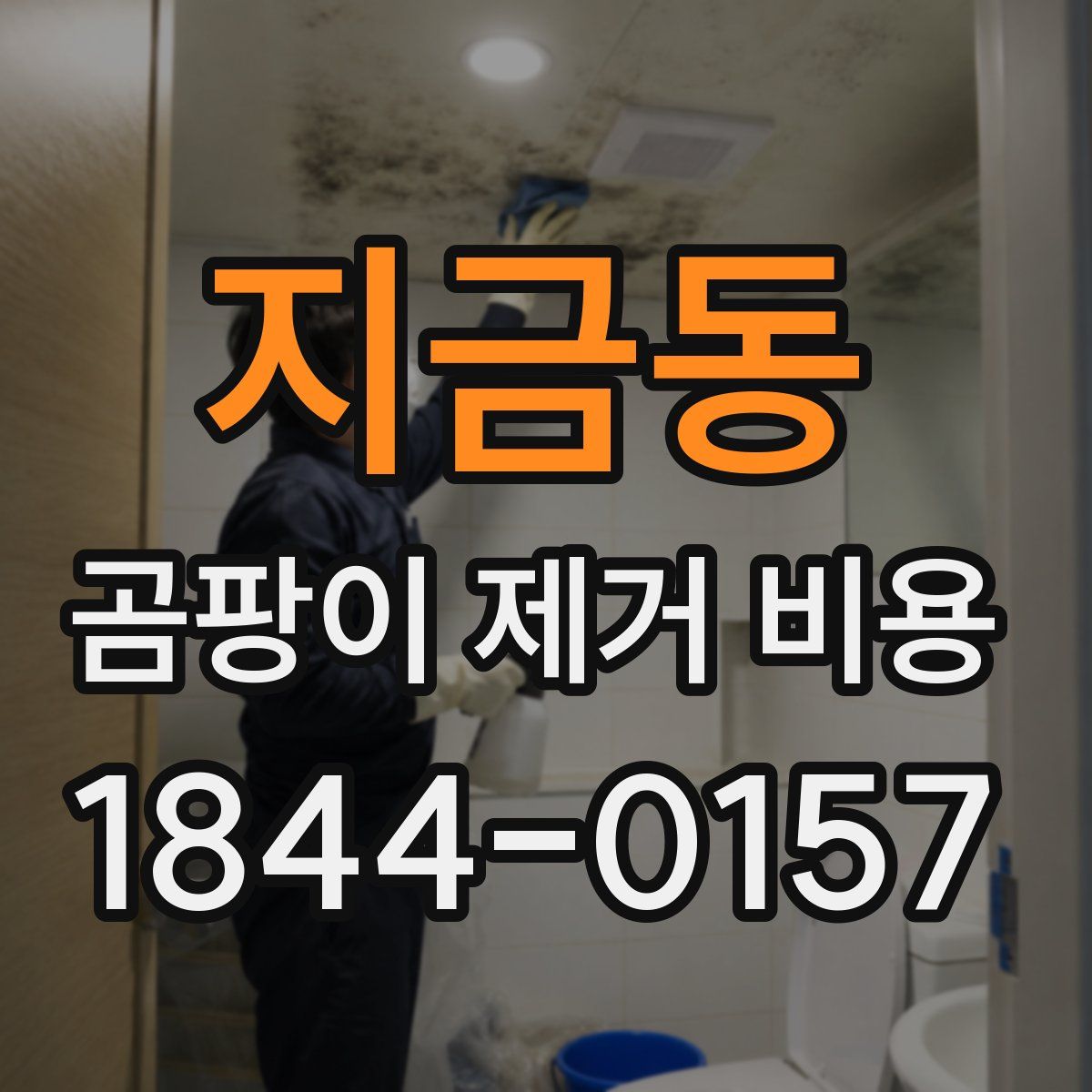 지금동 곰팡이 제거 비용
