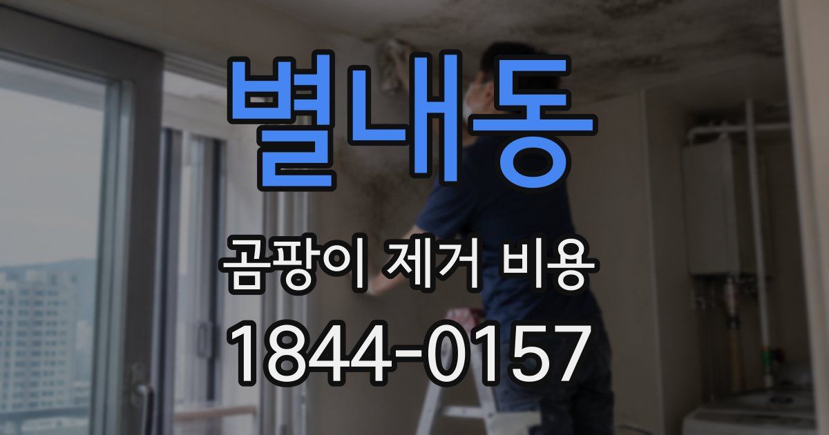 별내동 곰팡이 제거 비용