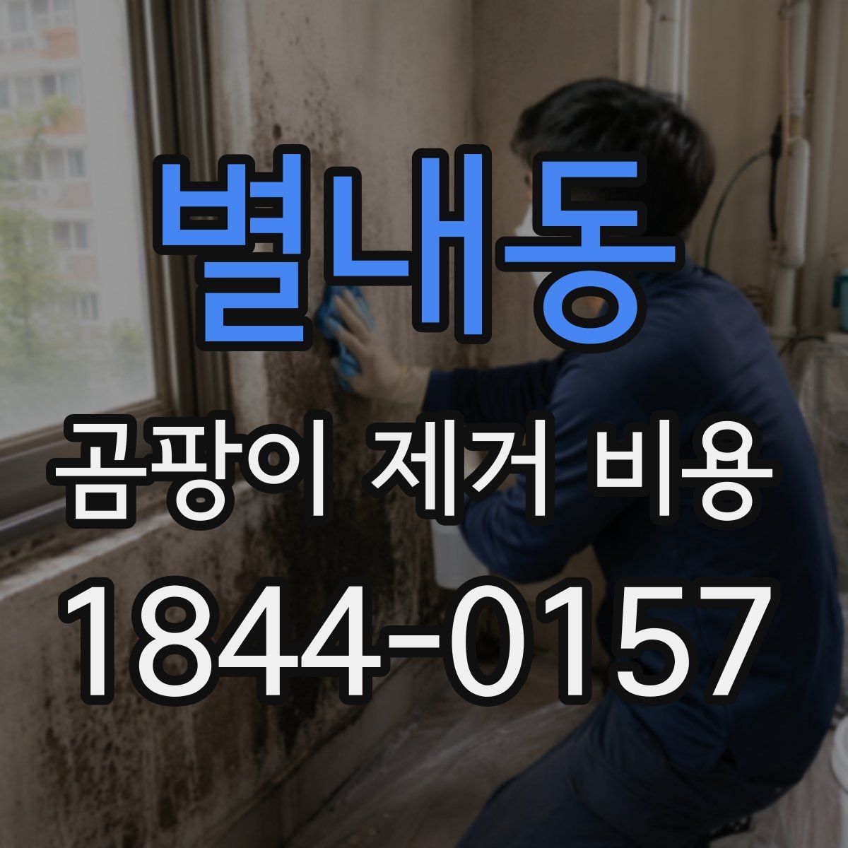 별내동 곰팡이 제거 비용