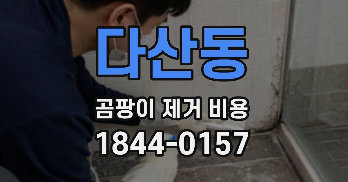 다산동 곰팡이 제거 비용