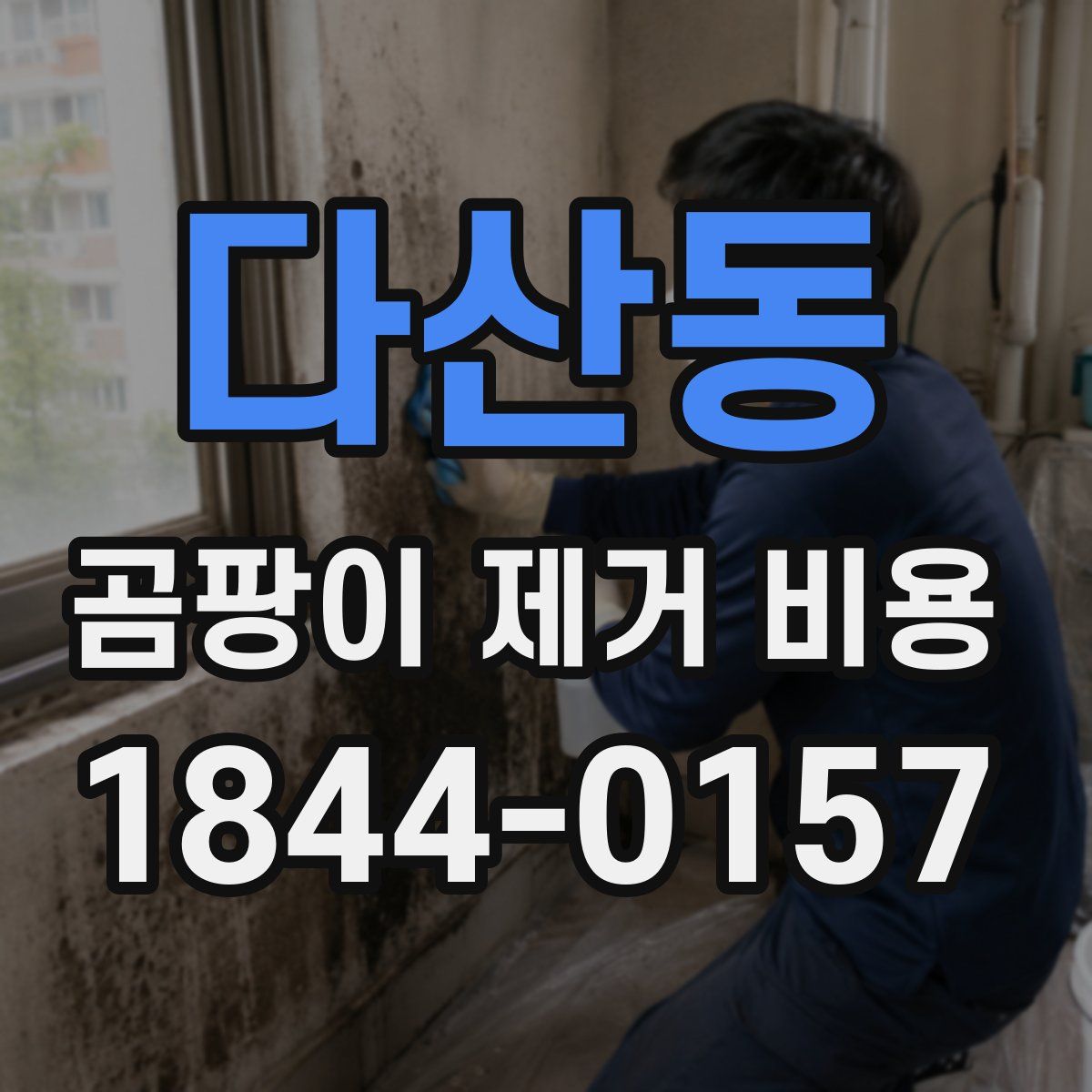 다산동 곰팡이 제거 비용