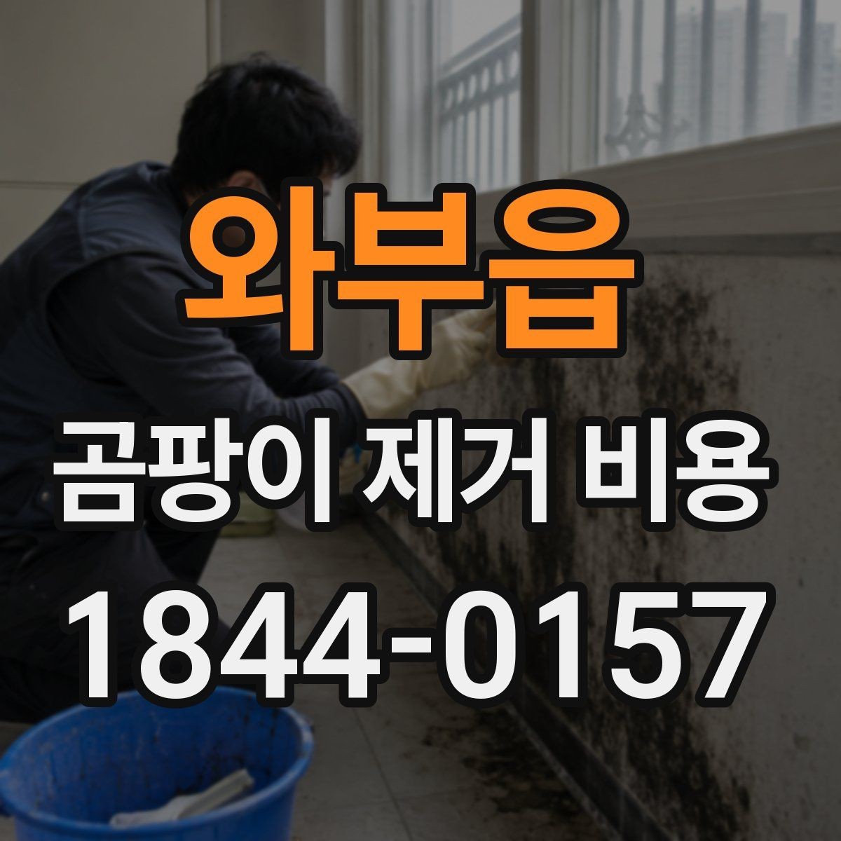 와부읍 곰팡이 제거 비용 가구 이동 여부가 전체 금액에 미치는 영향