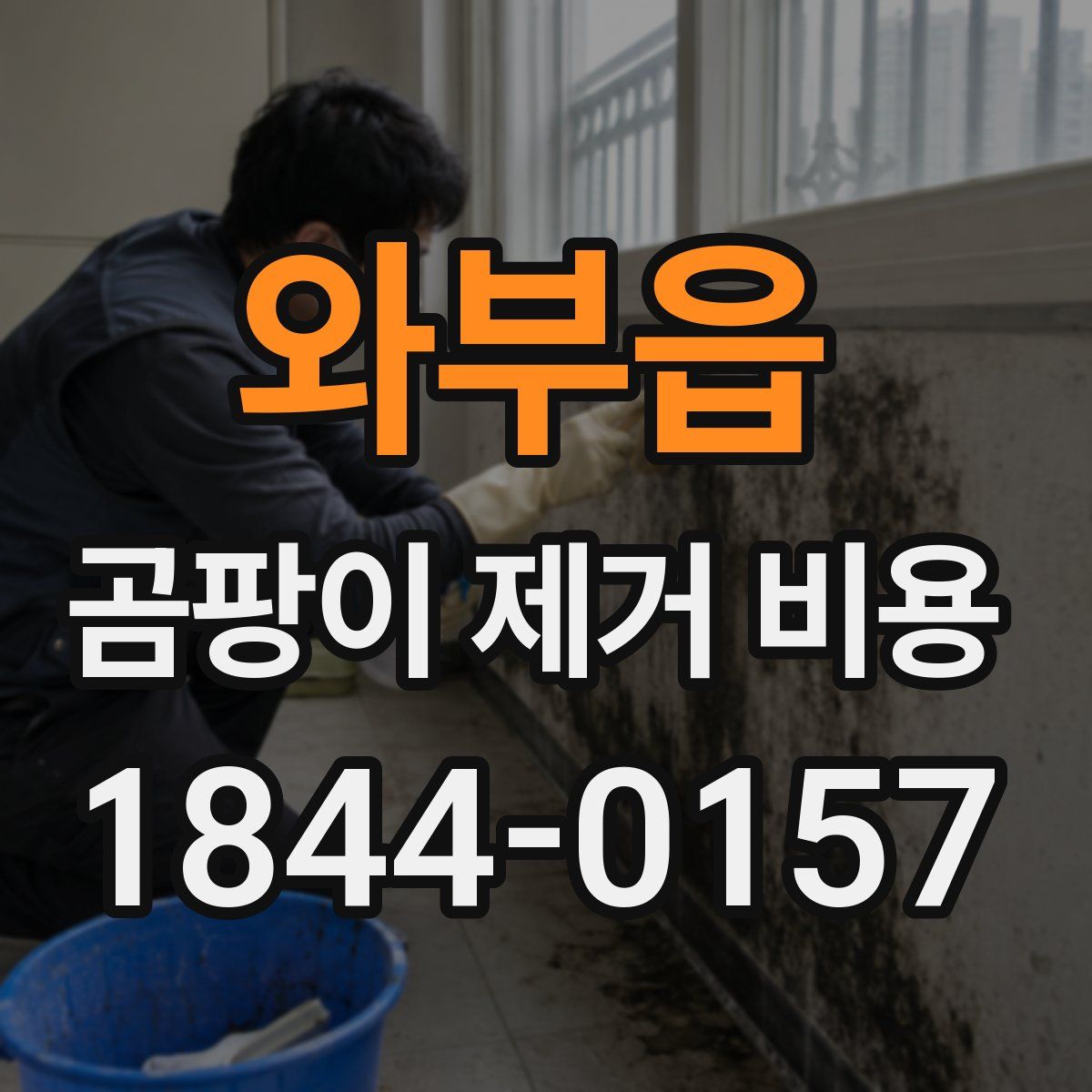 와부읍 곰팡이 제거 비용
