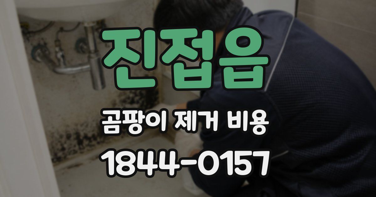 진접읍 곰팡이 제거 비용