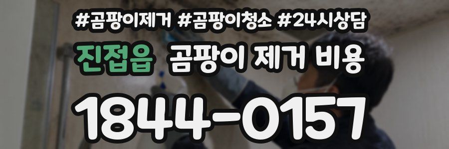 진접읍 곰팡이 제거 비용