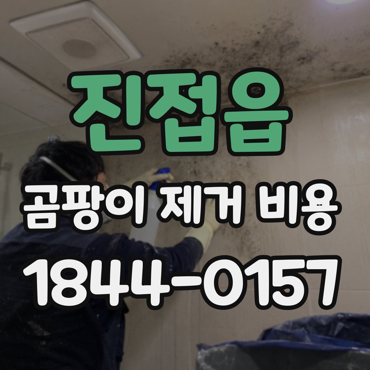 진접읍 곰팡이 제거 비용