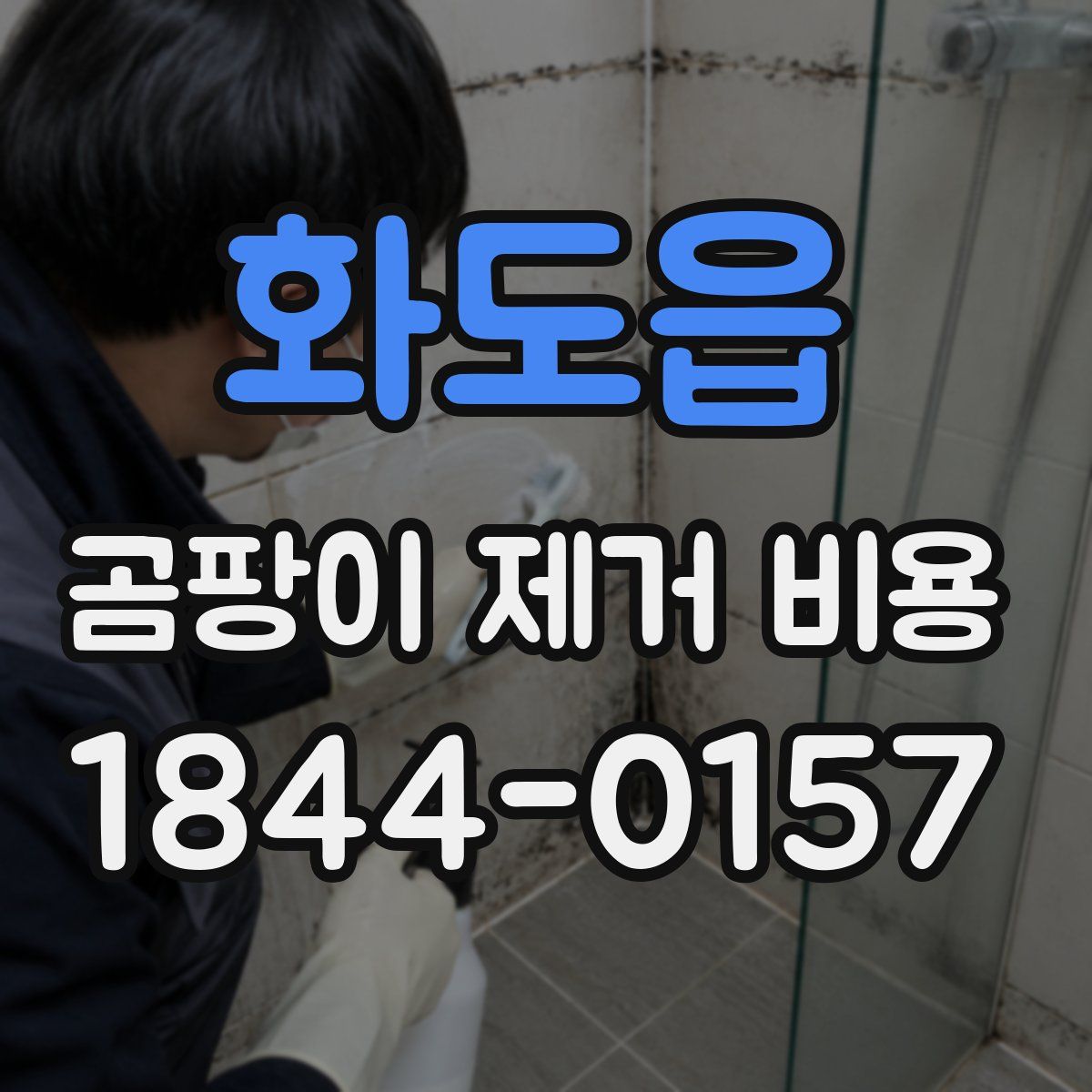 화도읍 곰팡이 제거 비용