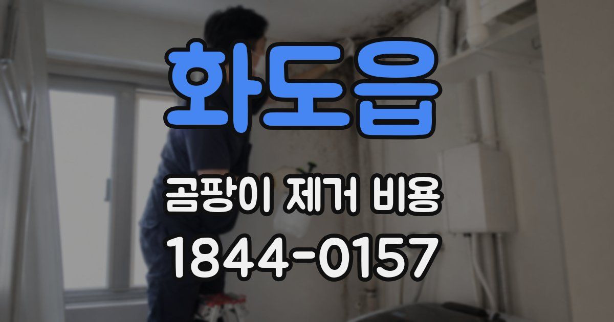 화도읍 곰팡이 제거 비용