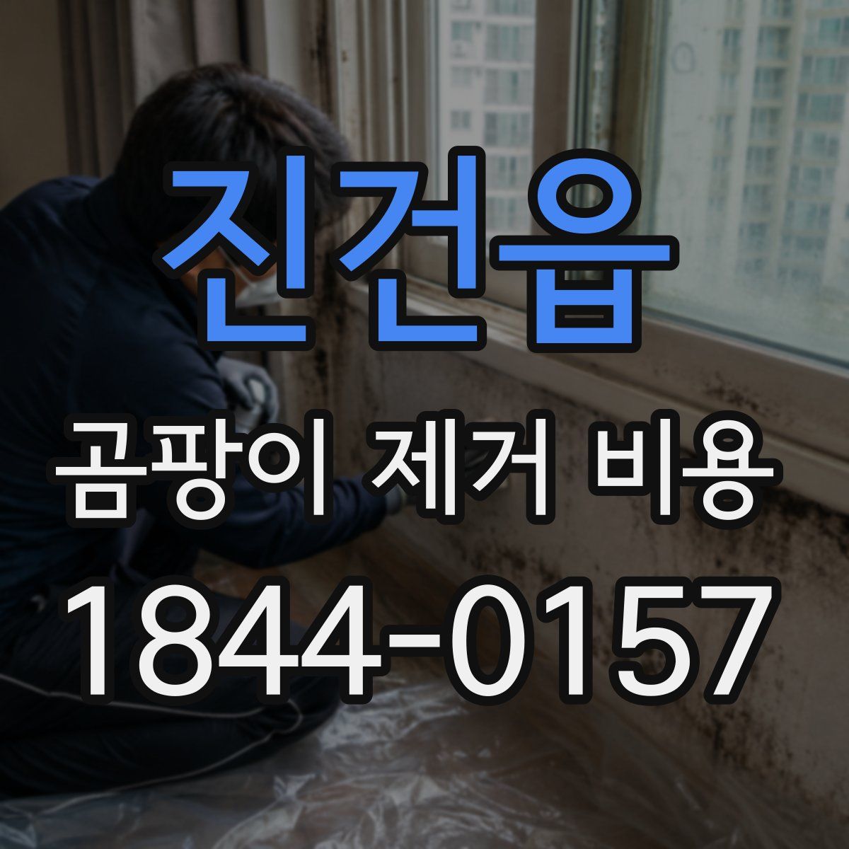 진건읍 곰팡이 제거 비용