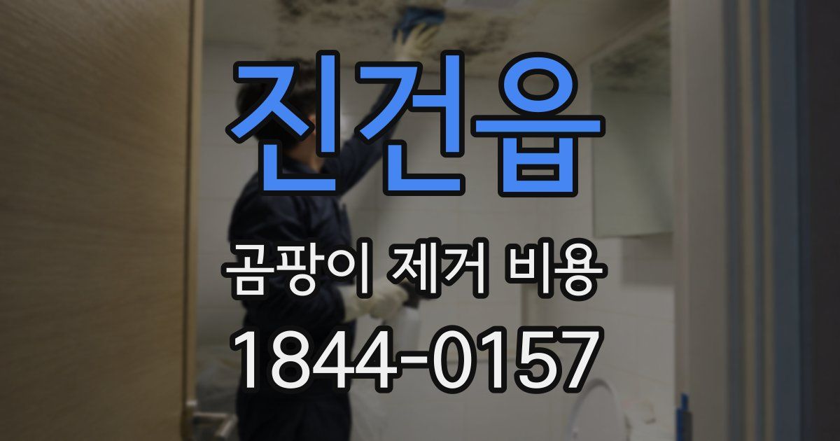 진건읍 곰팡이 제거 비용