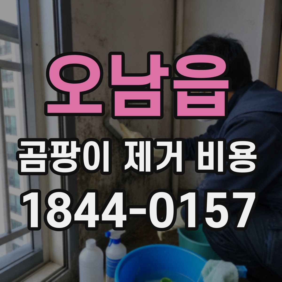 오남읍 곰팡이 제거 비용