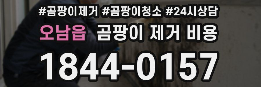 오남읍 곰팡이 제거 비용