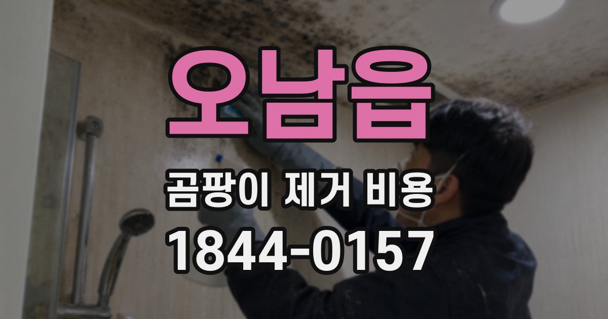 오남읍 곰팡이 제거 비용