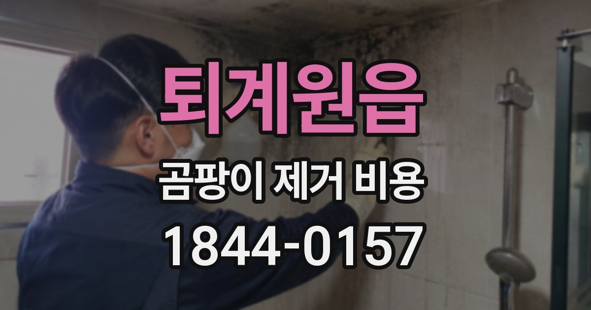 퇴계원읍 곰팡이 제거 비용
