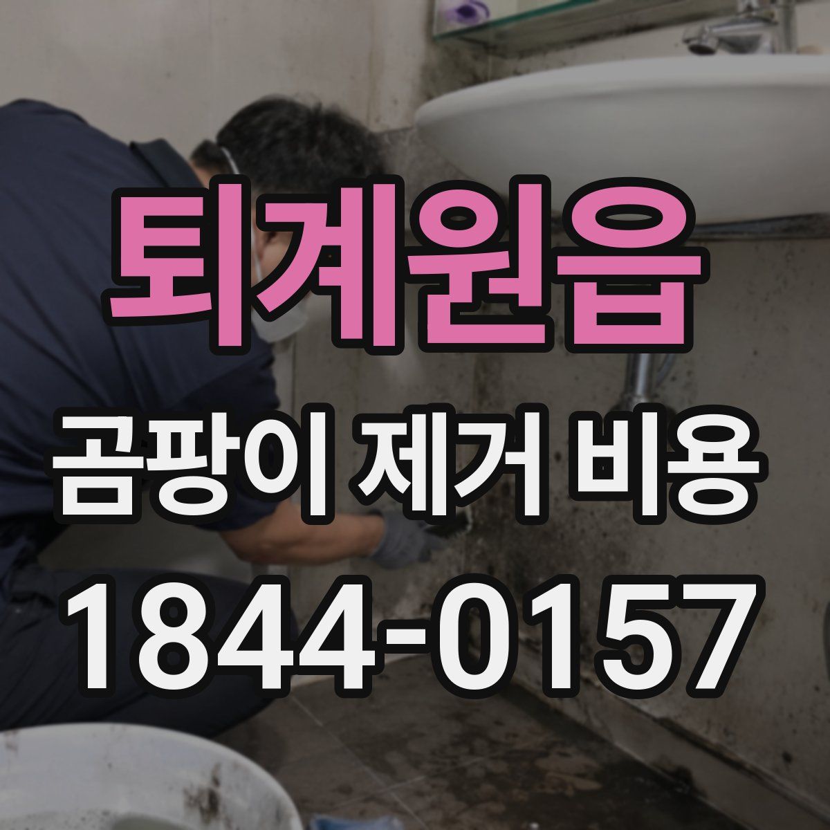 퇴계원읍 곰팡이 제거 비용