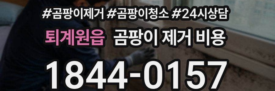 퇴계원읍 곰팡이 제거 비용