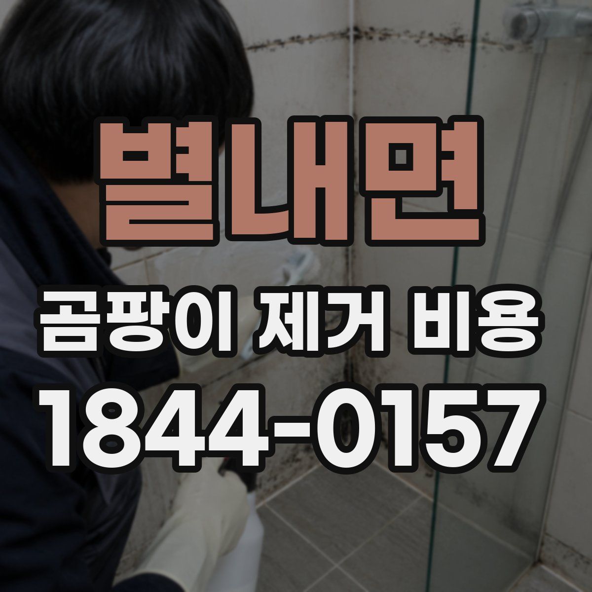 별내면 곰팡이 제거 비용