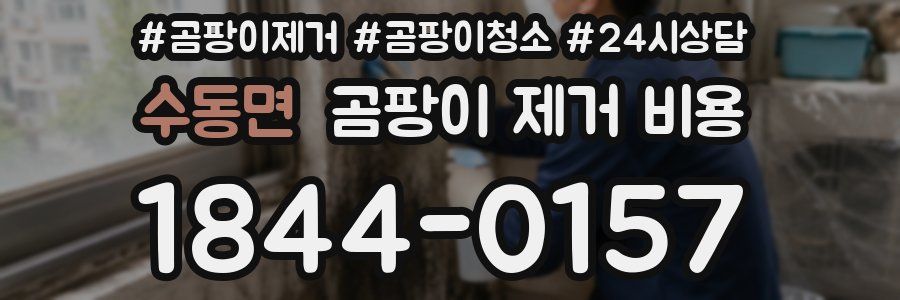 수동면 곰팡이 제거 비용