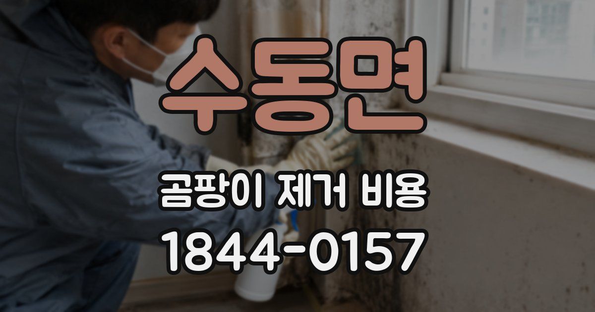 수동면 곰팡이 제거 비용