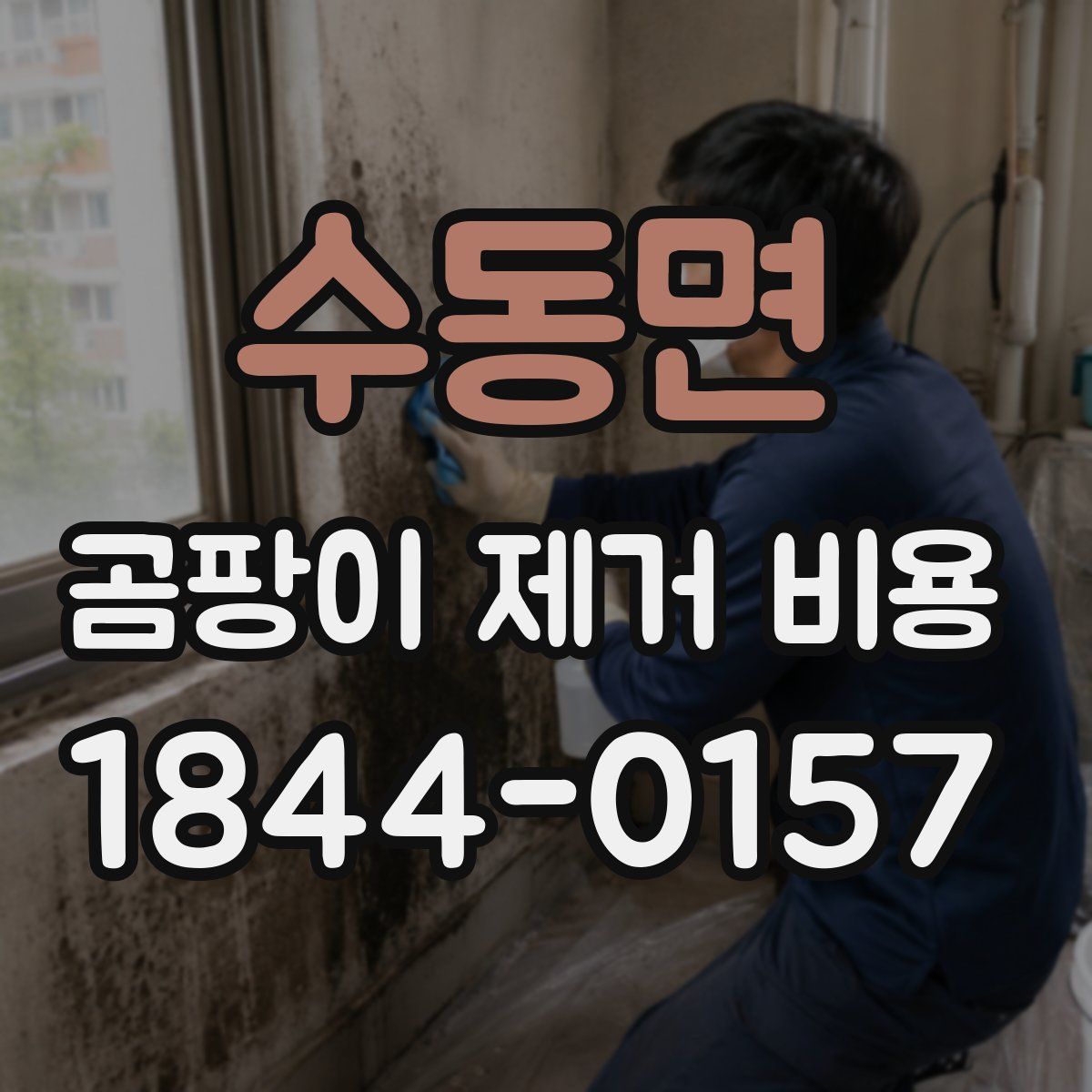 수동면 곰팡이 제거 비용