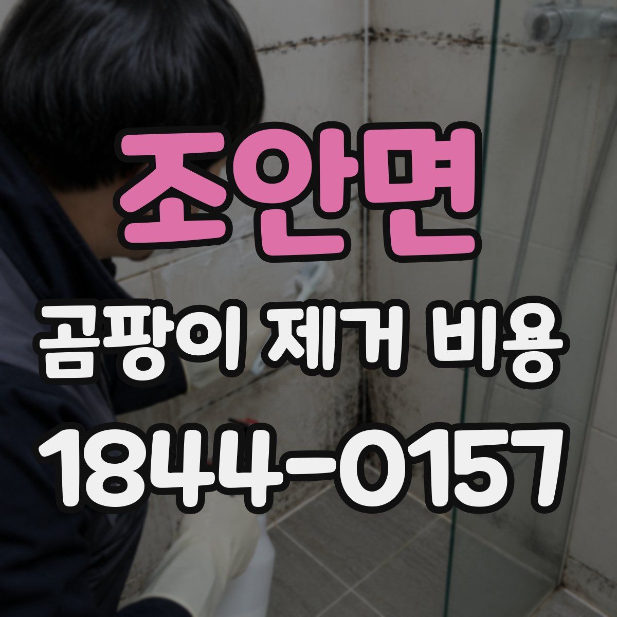 조안면 곰팡이 제거 비용