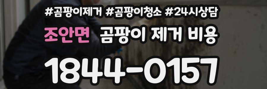 조안면 곰팡이 제거 비용