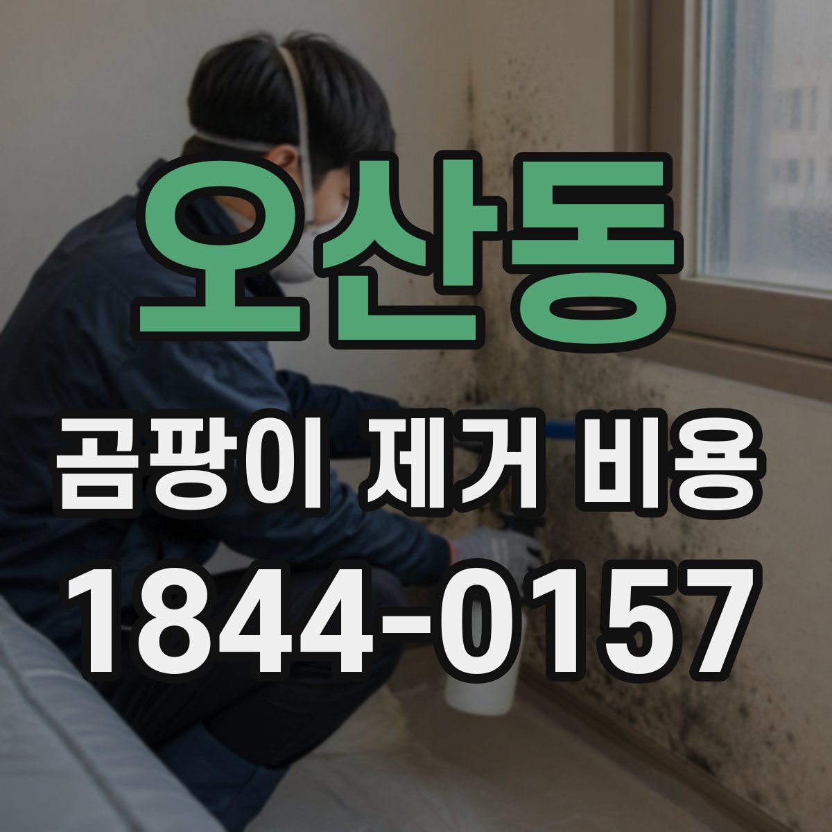 오산동 곰팡이 제거 비용