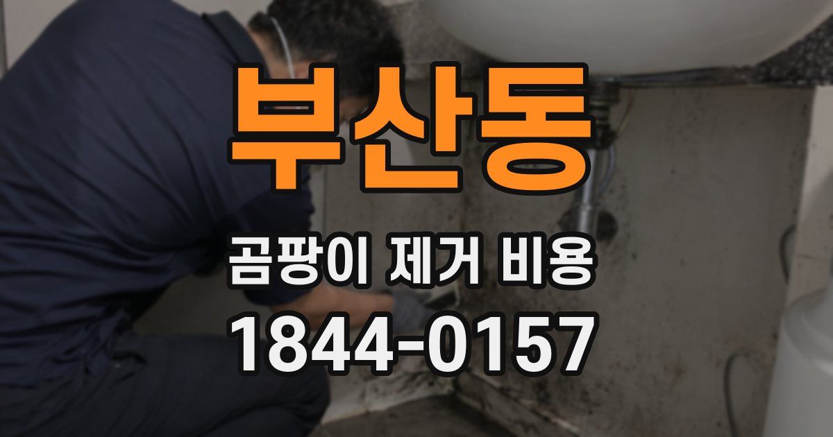 부산동 곰팡이 제거 비용