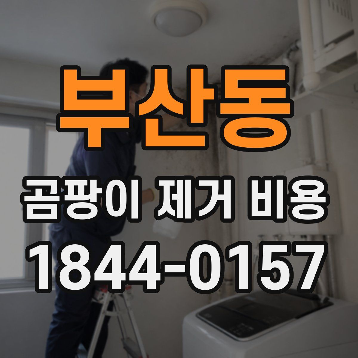 부산동 곰팡이 제거 비용