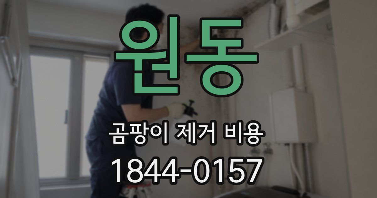 원동 곰팡이 제거 비용