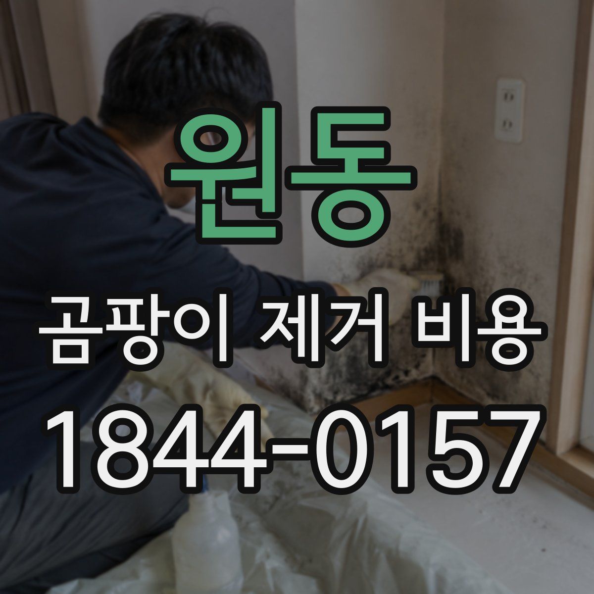원동 곰팡이 제거 비용