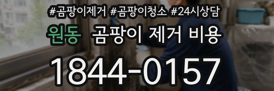 원동 곰팡이 제거 비용
