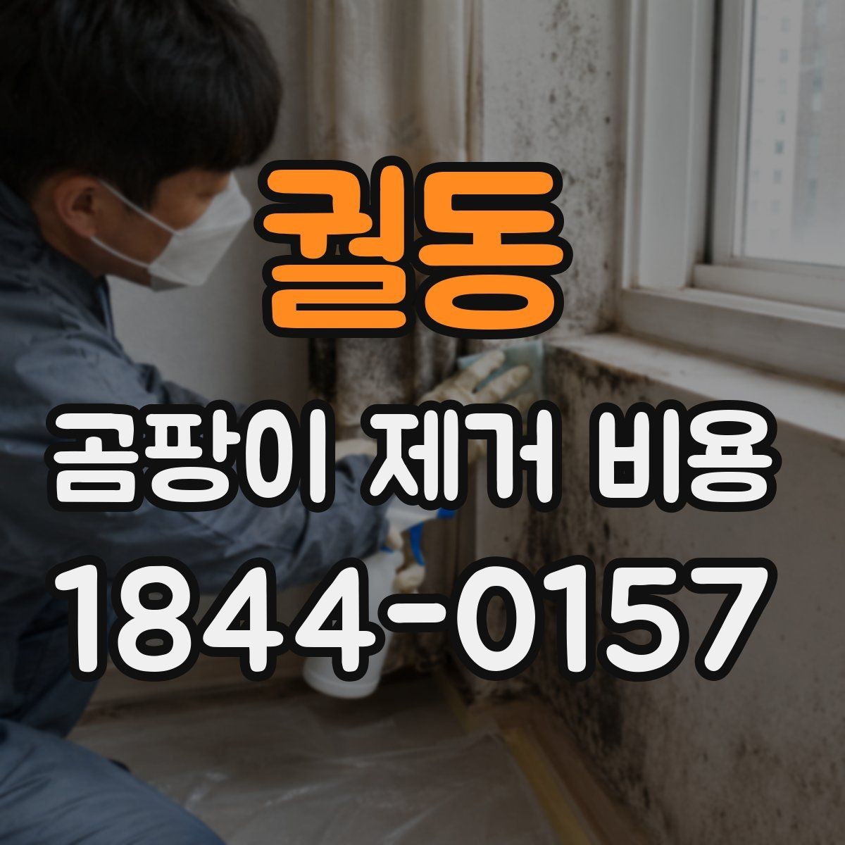 궐동 곰팡이 제거 비용 벽면 시공과 천장 시공의 범위 비교