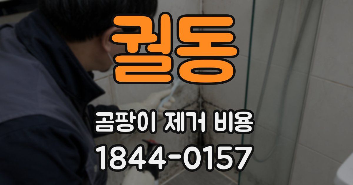 궐동 곰팡이 제거 비용