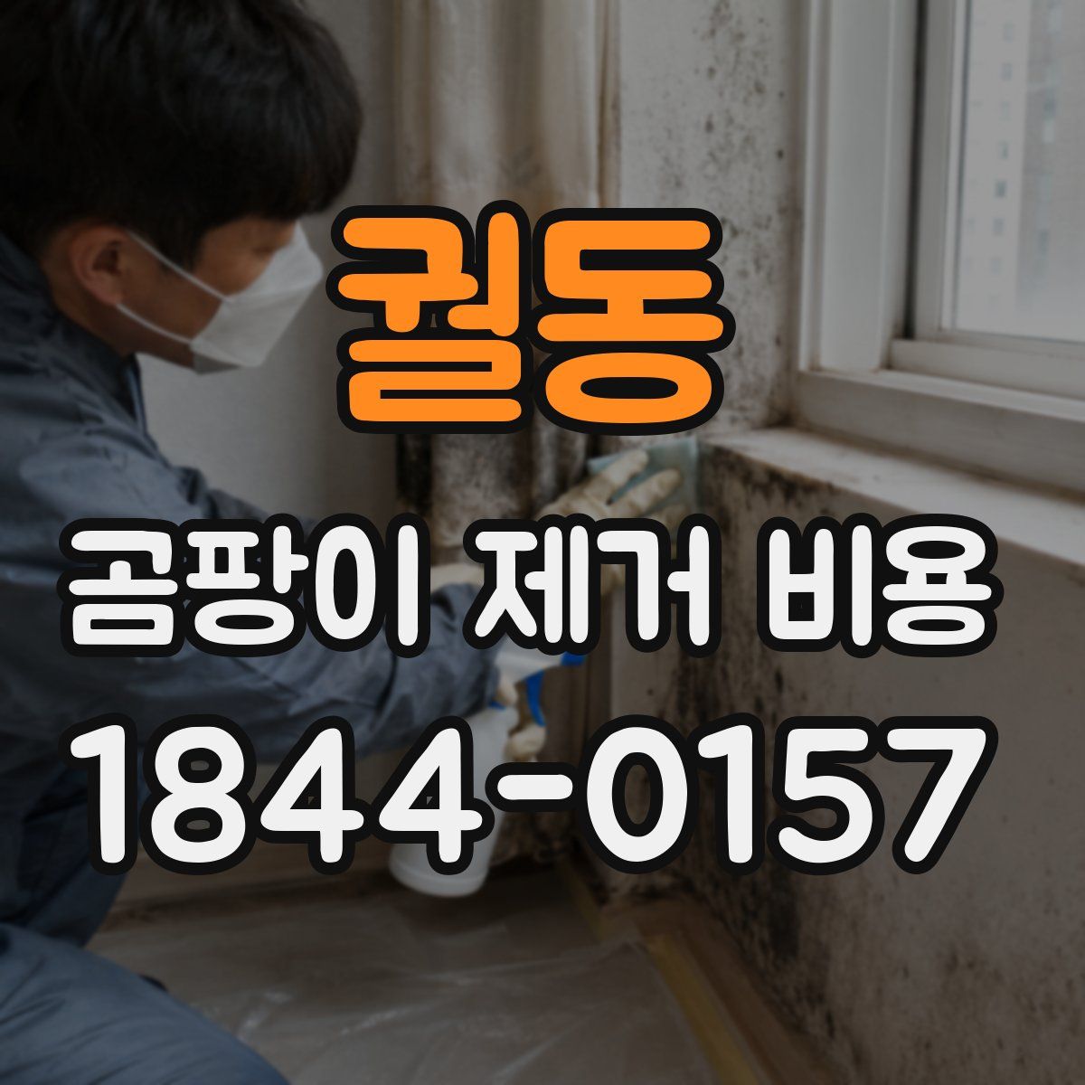 궐동 곰팡이 제거 비용