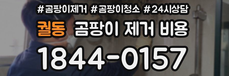 궐동 곰팡이 제거 비용