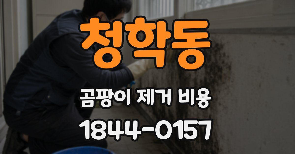 청학동 곰팡이 제거 비용