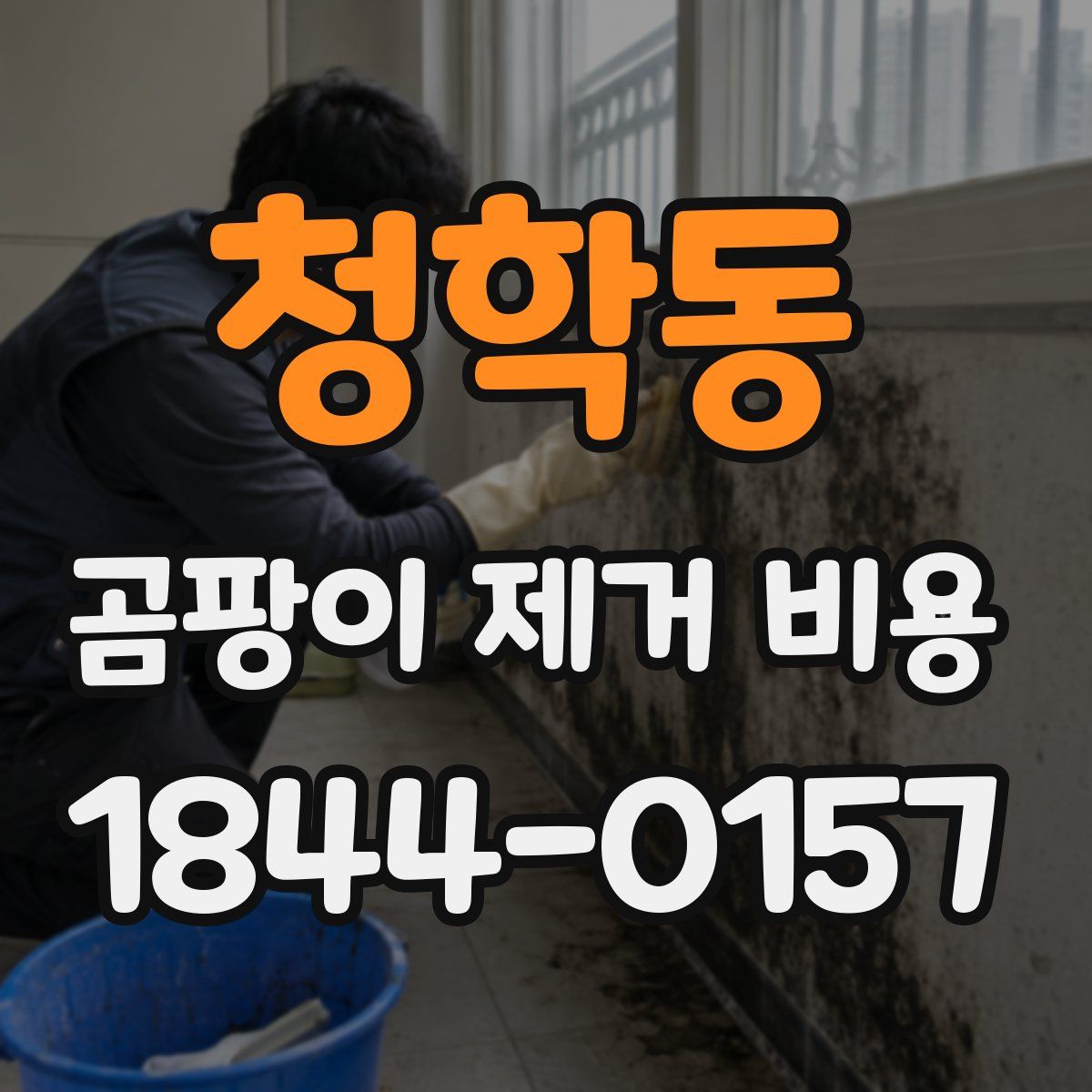 청학동 곰팡이 제거 비용