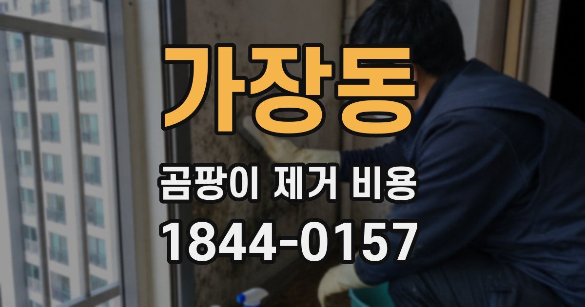 가장동 곰팡이 제거 비용