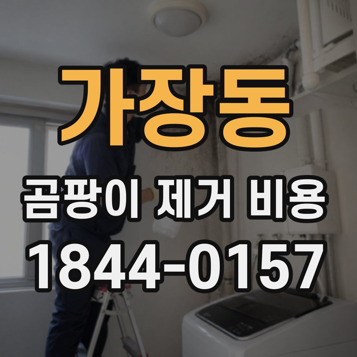 가장동 곰팡이 제거 비용