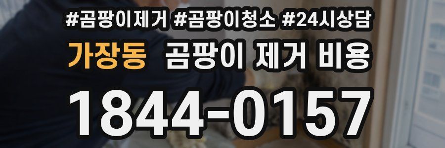 가장동 곰팡이 제거 비용