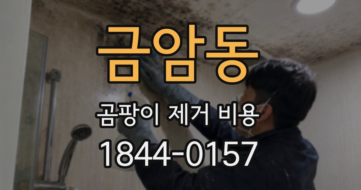 금암동 곰팡이 제거 비용