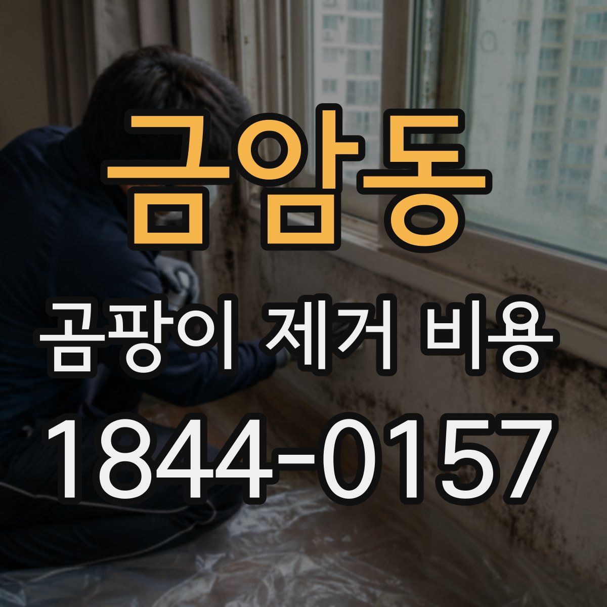 금암동 곰팡이 제거 비용
