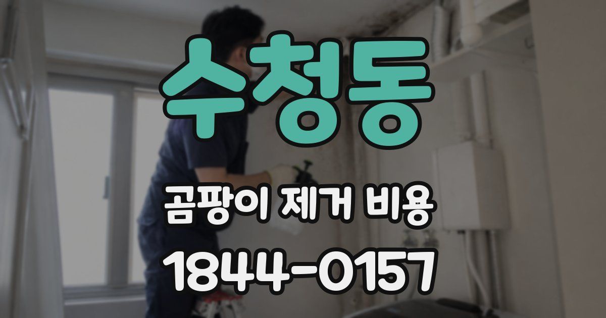 수청동 곰팡이 제거 비용